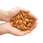 Untitled-1_0001_WEBSITE PHOTOS_page-0002