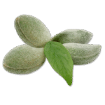 Untitled-1_0002_WEBSITE PHOTOS_page-0001