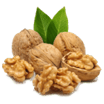 Untitled-1_0000_WEBSITE PHOTOS_page-0003