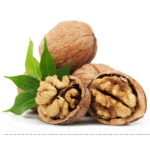 Untitled-1_0000_WEBSITE PHOTOS_page-0003