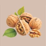 Untitled-1_0000_WEBSITE PHOTOS_page-0003