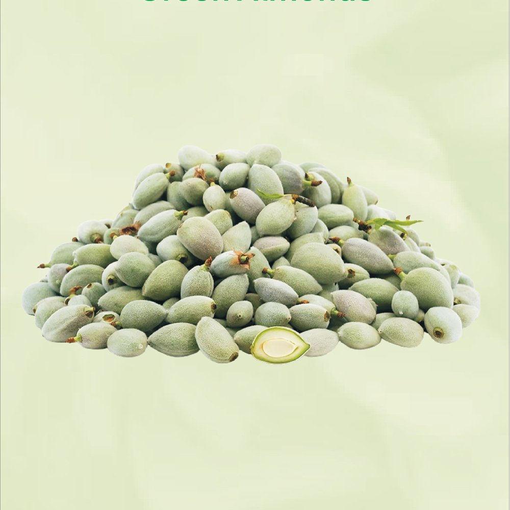 Untitled-1_0002_WEBSITE PHOTOS_page-0001